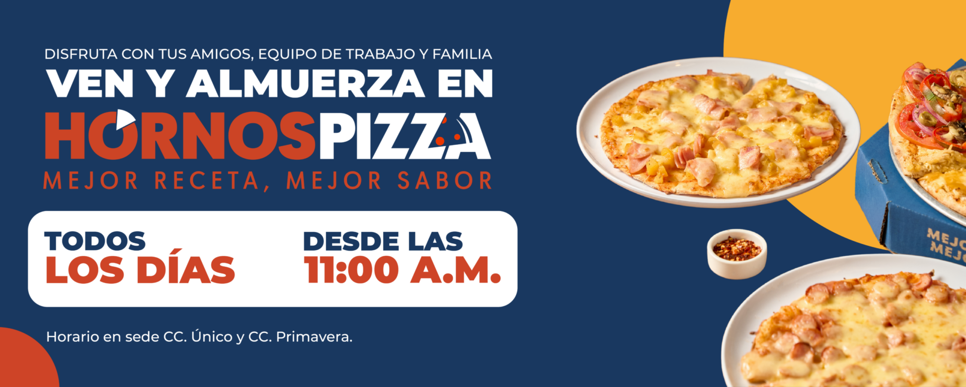 PROMO HORNOS-33